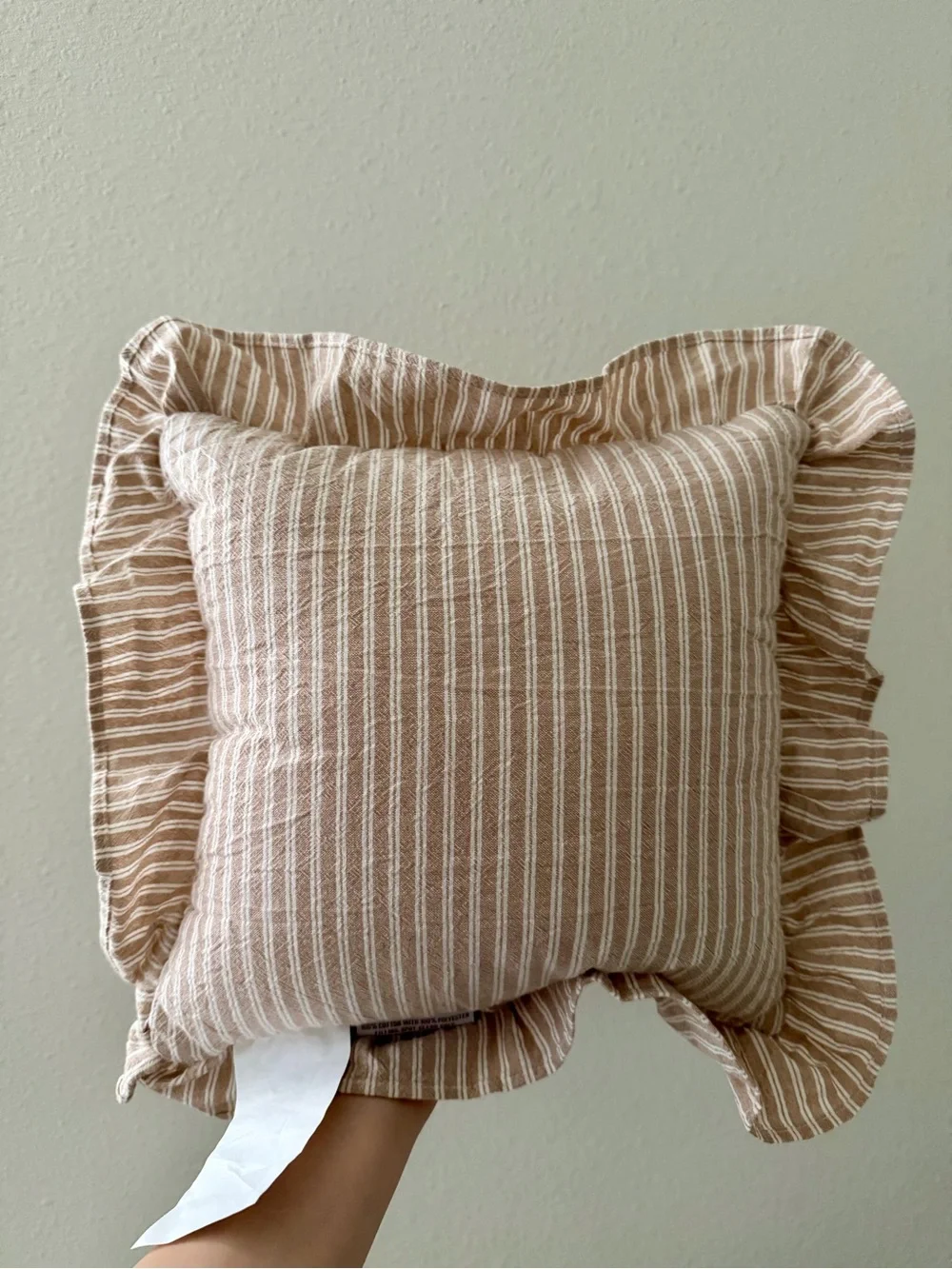 Home Is Where My Dog Is Striped Pinstripe Decorative Pillow Ruffles Embroidered